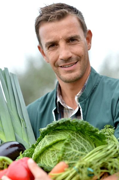 Porträtt av leende jordbrukare som håller grönsaker korg Royaltyfria Stockfoton