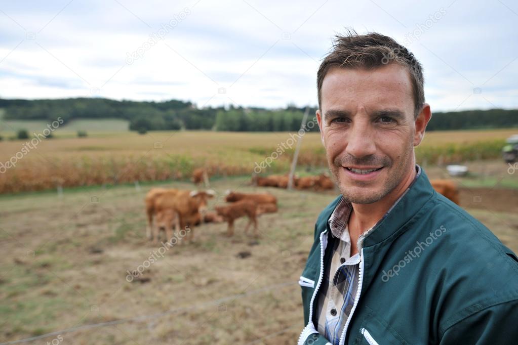 Herdsman standing in front of cattle in country field