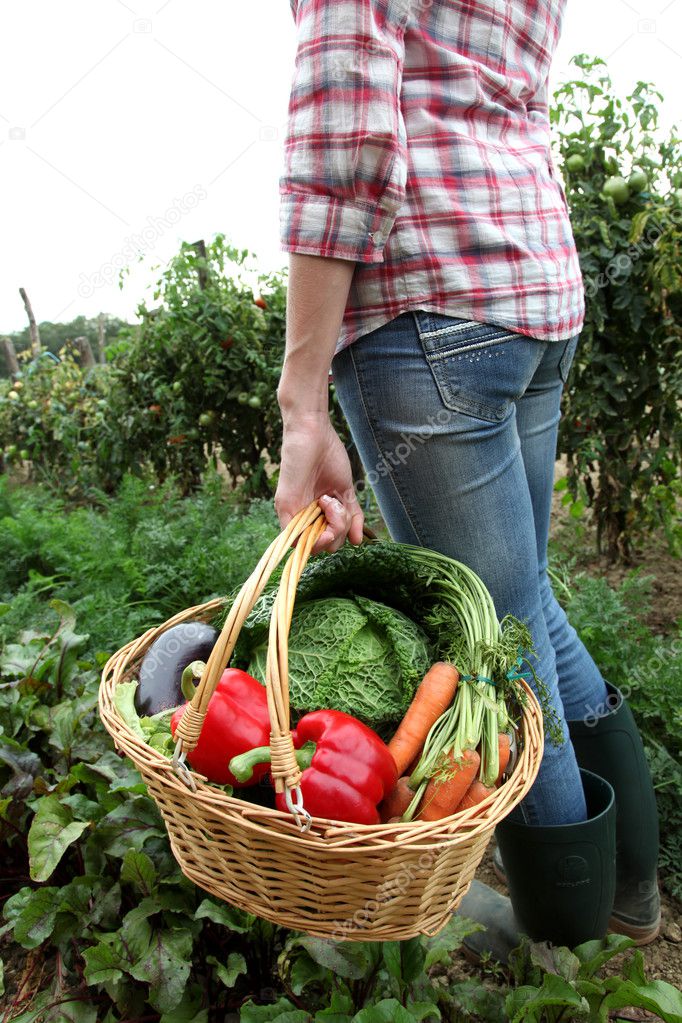Closeup of basket full of fresh vegetables