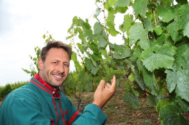 bağ ayakta winegrower