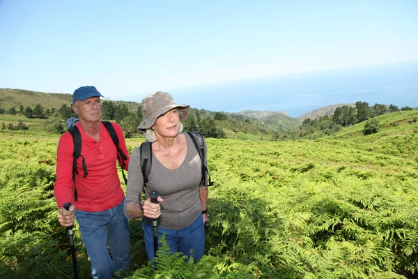 Portrait of happy senior couple hiking in natural landscape — Stock Photo, Image