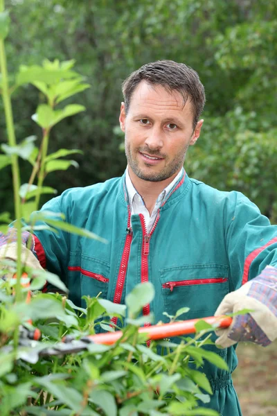 Ritratto di giardiniere sorridente — Foto Stock