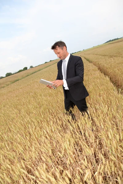 Elektronik tabletli iş adamı buğday tarlasında duruyor — Stok fotoğraf