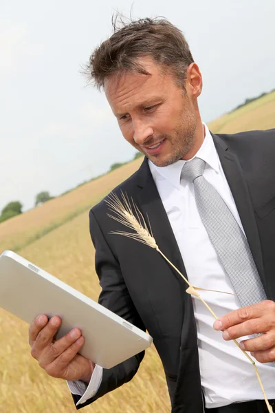Üzletember elektronikus tabletta álló búza területen — Stock Fotó