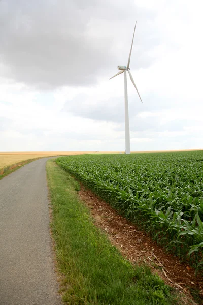 风力发电机组在玉米田的视图 — 图库照片