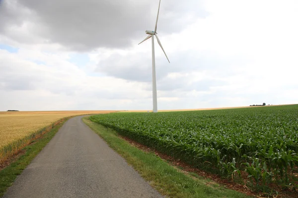 Weergave van windturbines in maïsveld — Stockfoto