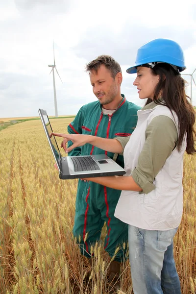 Фермер и инженер на пшеничном поле с ветряными турбинами на заднем плане — стоковое фото