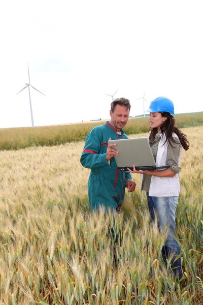 Agriculteur et ingénieur dans le champ de blé avec des éoliennes en arrière-plan — Photo