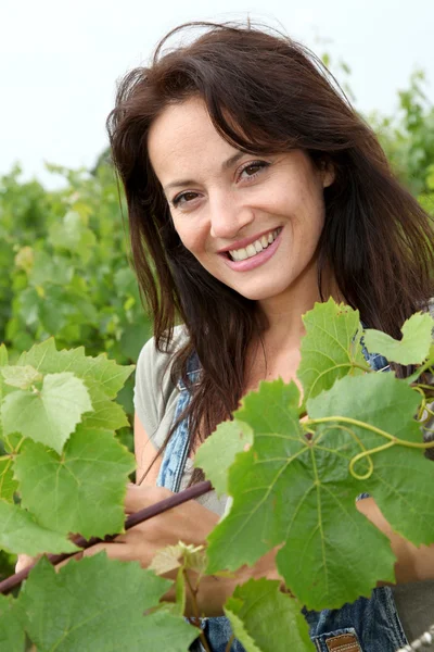 Portret uśmiechający się winnicy w winnicy — Zdjęcie stockowe