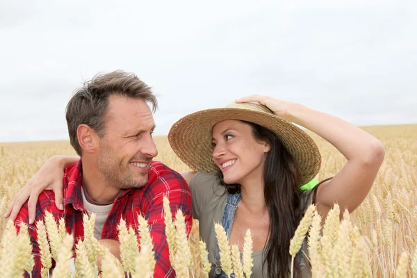 Retrato de casal feliz no campo de trigo — Fotografia de Stock