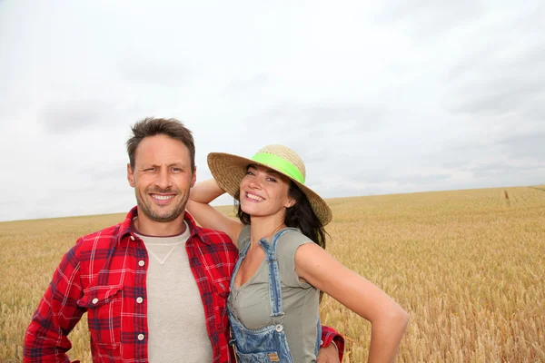 Retrato de casal feliz no campo de trigo — Fotografia de Stock