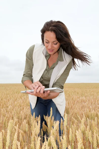 Vrouw met elektronische tablet analyse van tarwe oren — Stockfoto