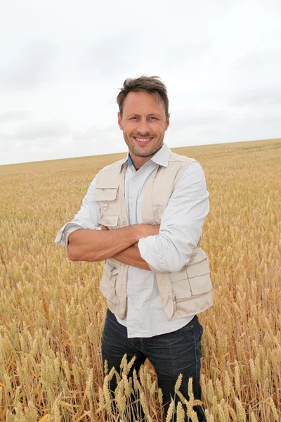 Retrato del hombre guapo parado en el campo de trigo — Foto de Stock