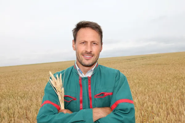 Buğday alanında mutlu çiftçi portresi — Stok fotoğraf