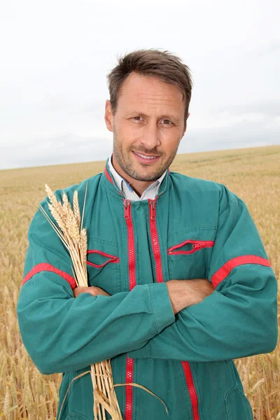 Portret van gelukkig boer in tarweveld — Stockfoto