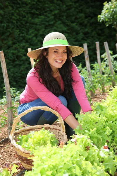 Усміхнена жінка в овочевому саду — стокове фото