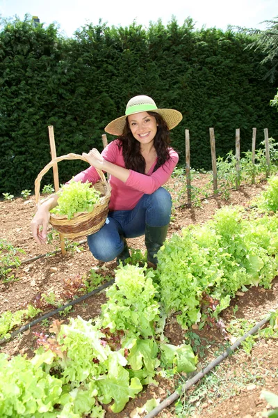 Mujer sonriente en huerta — Foto de Stock