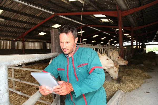 Agricultor em celeiro usando tablet eletrônico — Fotografia de Stock