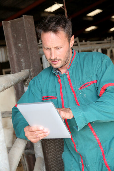 Farmer in barn using electronic tablet