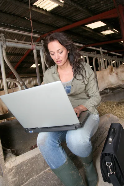 Dierenarts in schuur met laptopcomputer — Stockfoto