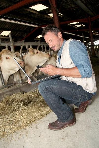 Züchter im Stall mit Laptop — Stockfoto