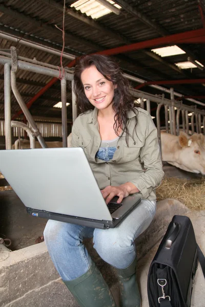 Tierarzt im Stall mit Laptop — Stockfoto