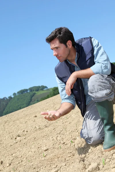 Environmental issues and lack of water — Stock Photo, Image