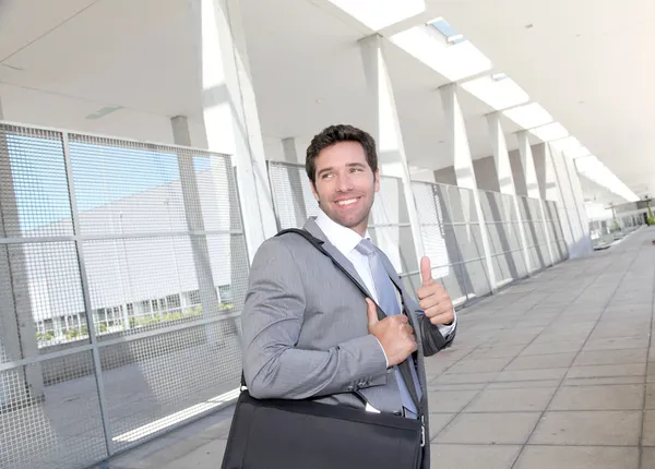 Businessman standing with briefcase — Stock Photo, Image