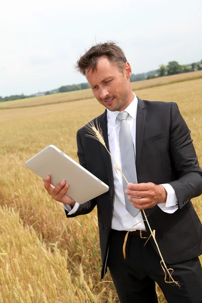 Businessman with electronic tablet standing in wheat field Stock Photo