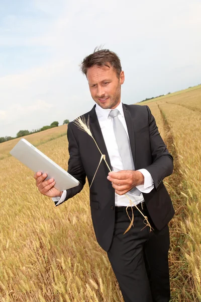 Businessman with electronic tablet standing in wheat field Stock Picture