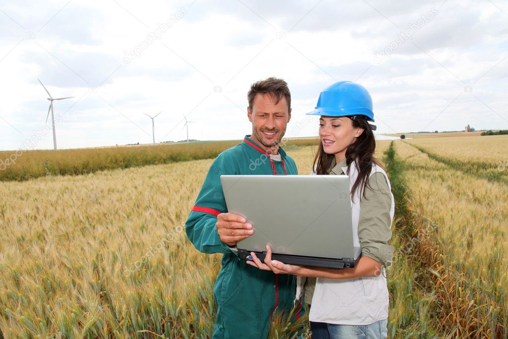 Farmer and engineer in wheat field with wind turbines in background