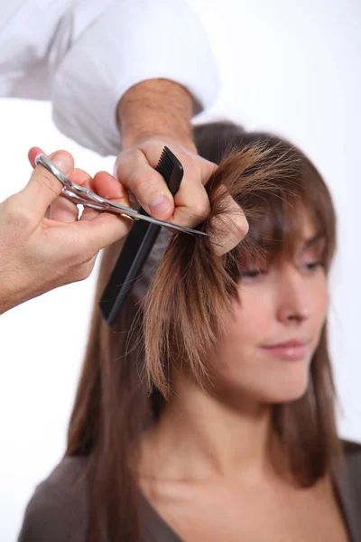 Fechar-se de mulher que tem um corte de cabelo — Fotografia de Stock