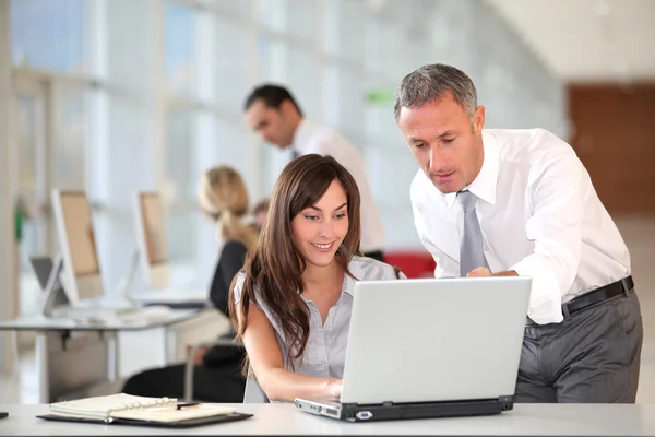 Manager and secretary working in the office — Stock Photo, Image