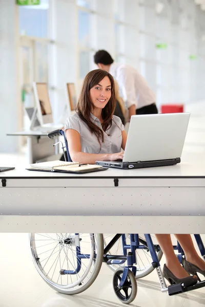 Iş kadını ofiste çalışan tekerlekli sandalyede — Stok fotoğraf