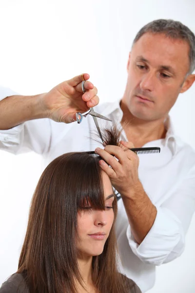 Hairdresser cutting woman's hair Stock Image