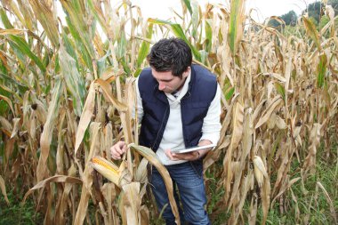 Ziraat Mühendisi elektronik tablet ile analizi, mühendislerimizin tahıllar