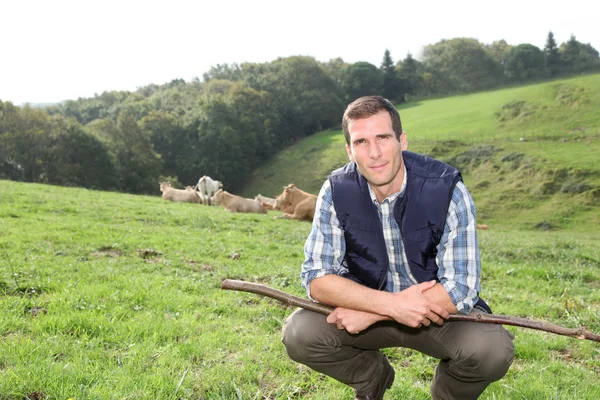 Breeder standing in pasture land — Stock Photo, Image