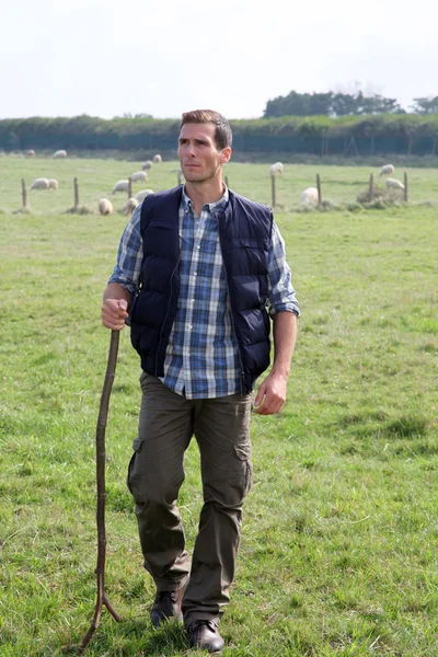 Pasterz, stojący w pastwiska — Zdjęcie stockowe