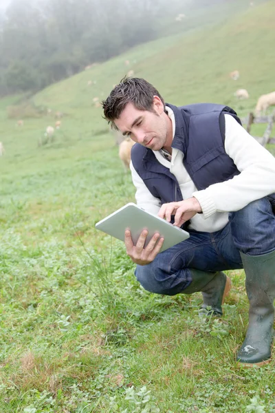 Criador usando tablet eletrônico em campo — Fotografia de Stock