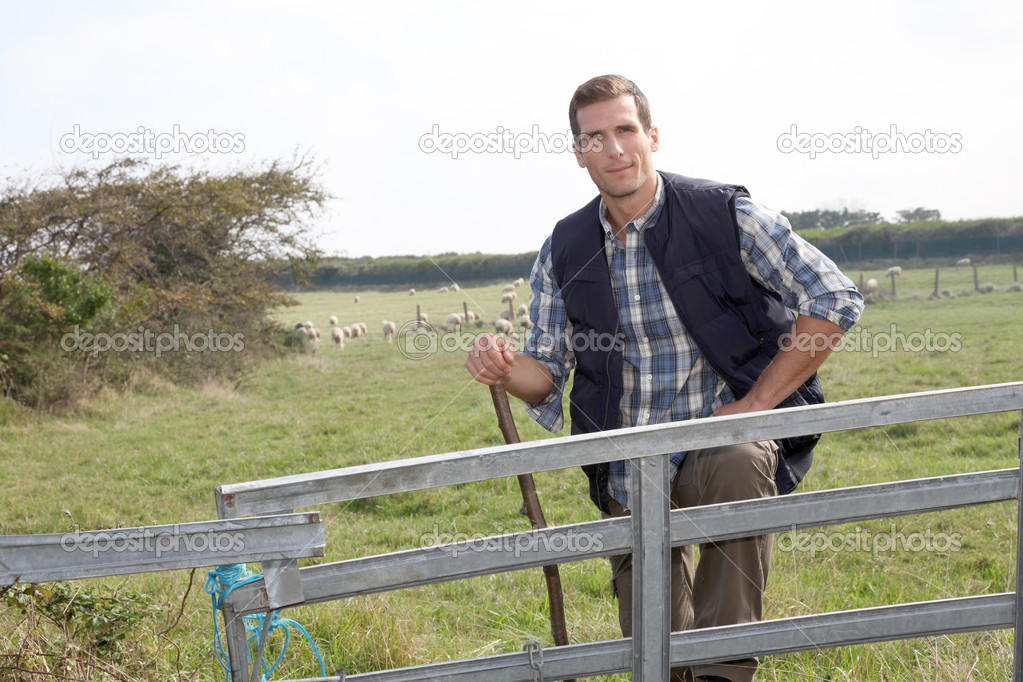 Shepherd standing in pasture land