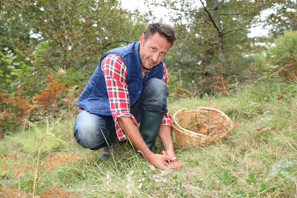 Closeup of man with basket looking for mushrooms on the ground — Stock Photo, Image