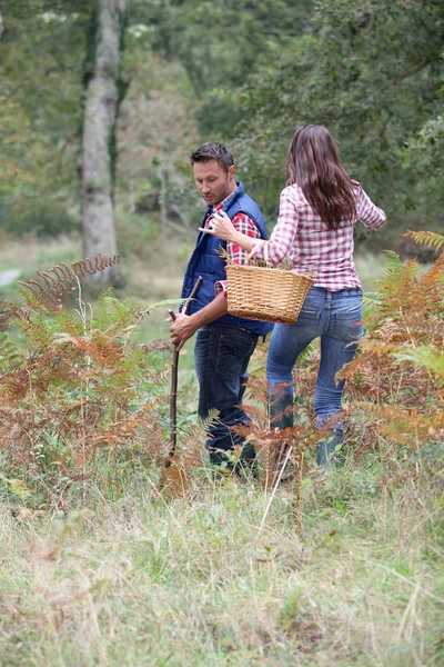 Couple in forest picking mushrooms in autumn — Stock Photo, Image