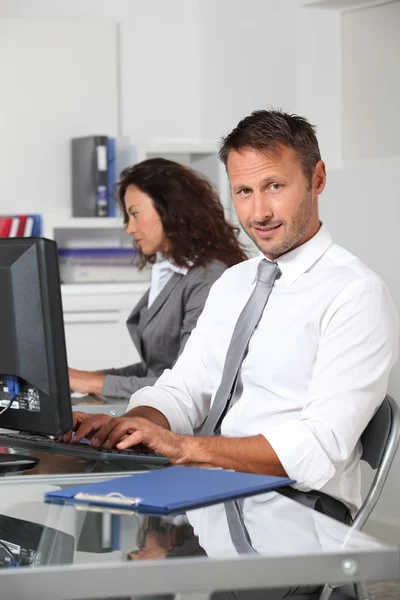 Business working in the office — Stock Photo, Image