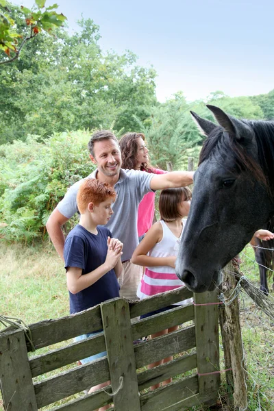 Parents and children petting horses in countryside — Stock Photo, Image