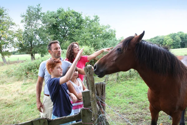 Genitori e bambini che accarezzano cavalli in campagna — Foto Stock