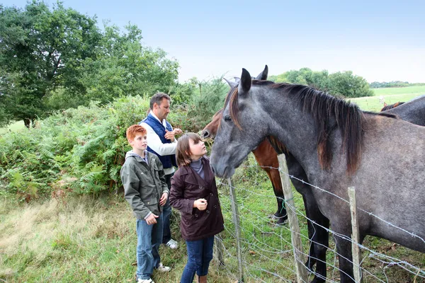 Parents and children petting horses in countryside — Stock Photo, Image