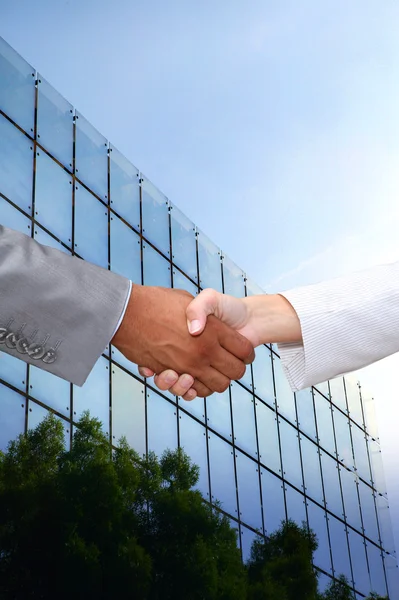 Business handshake — Stock Photo, Image