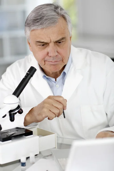 Investigador en laboratorio mirando el ordenador portátil — Foto de Stock