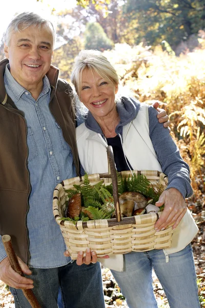 Äldre par i skogen håller korg full av ceps svamp — Stockfoto