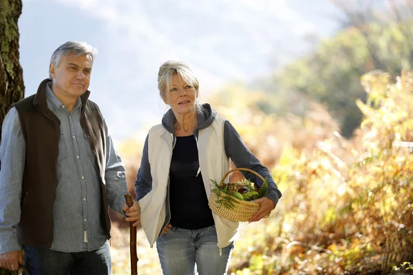 Äldre par promenader i skogen på hösten — Stockfoto